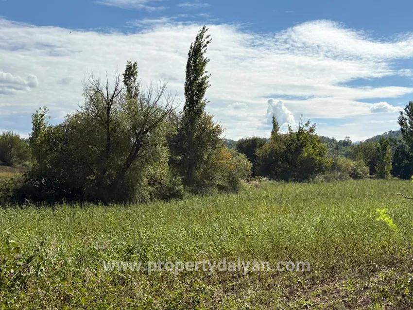 Для продажи Поле в Zeytinalanı Köyceğiz - Под Поле застройку - 10.500 m²