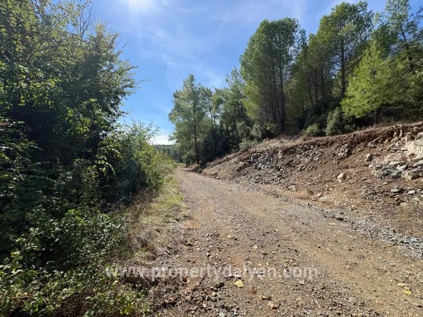 Для продажи Поле в Zeytinalanı Köyceğiz - Под Поле застройку - 10.500 m²