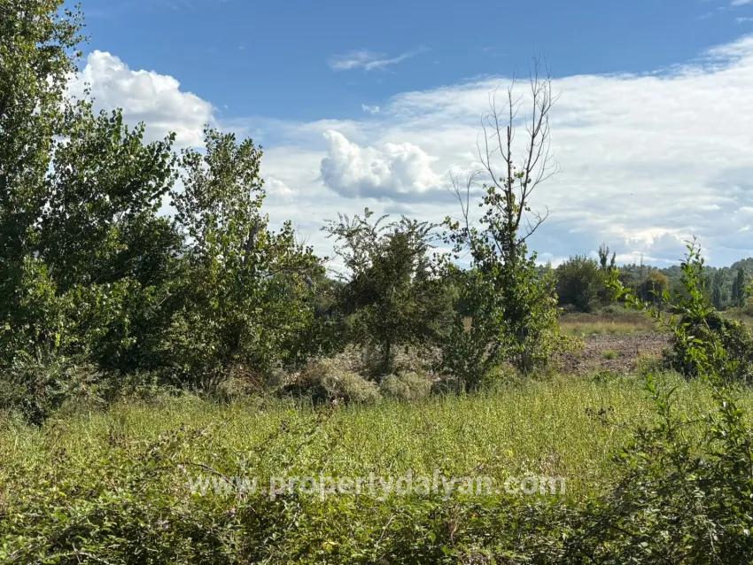 Для продажи Поле в Zeytinalanı Köyceğiz - Под Поле застройку - 10.500 m²