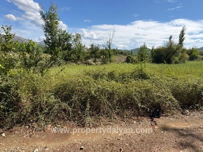 Для продажи Поле в Zeytinalanı Köyceğiz - Под Поле застройку - 10.500 m²