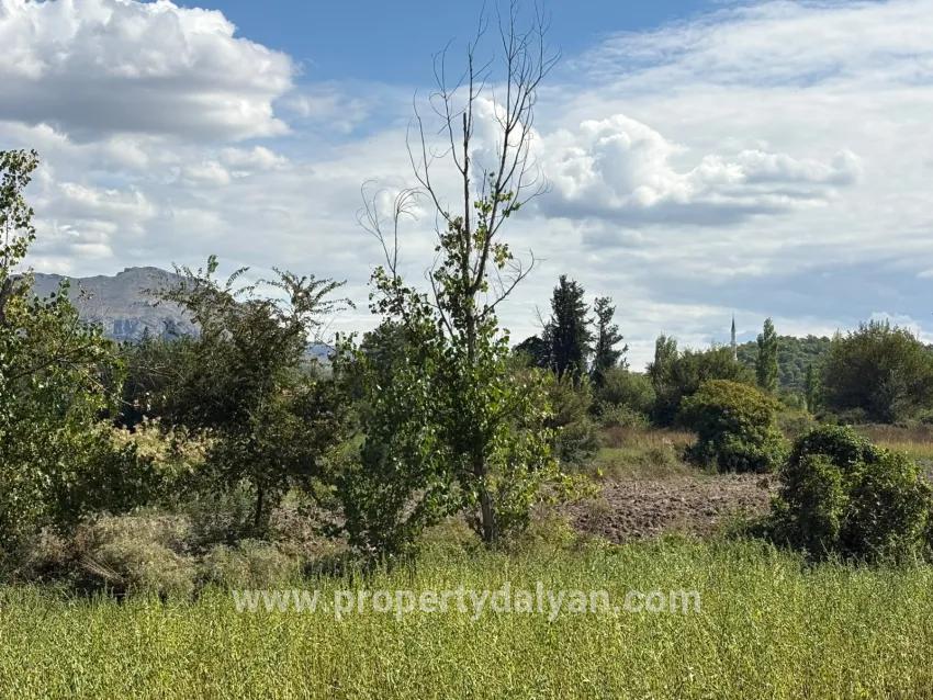 Для продажи Поле в Zeytinalanı Köyceğiz - Под Поле застройку - 10.500 m²