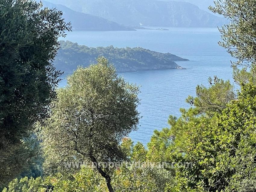 Выгодная Земля На Продажу С Видом На Море В Районе Экинджик-чандыр.