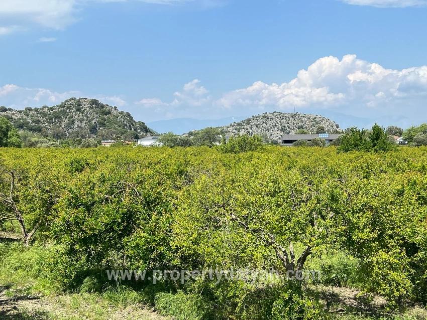 Для продажи Сюжет в Dalyan Ortaca - Под Жилье застройку - 5.100 m²