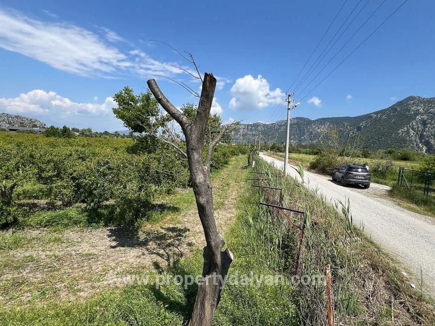 Для продажи Сюжет в Dalyan Ortaca - Под Жилье застройку - 5.100 m²