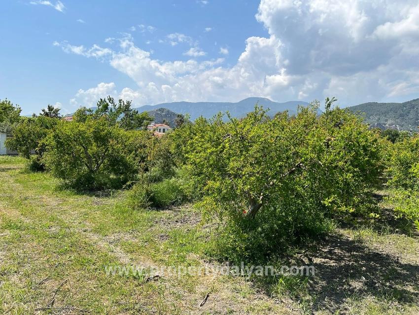 Для продажи Сюжет в Dalyan Ortaca - Под Жилье застройку - 5.100 m²