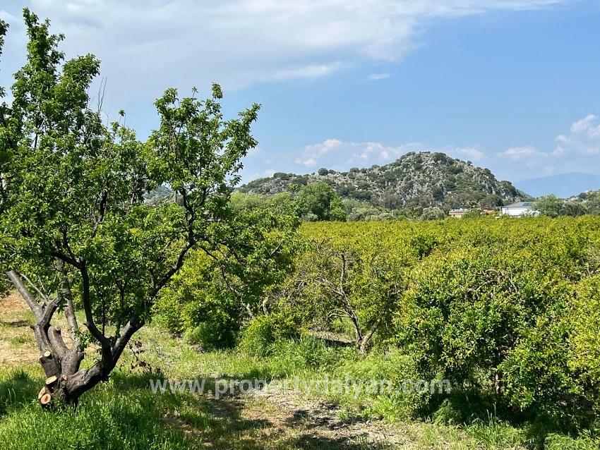Для продажи Сюжет в Dalyan Ortaca - Под Жилье застройку - 5.100 m²
