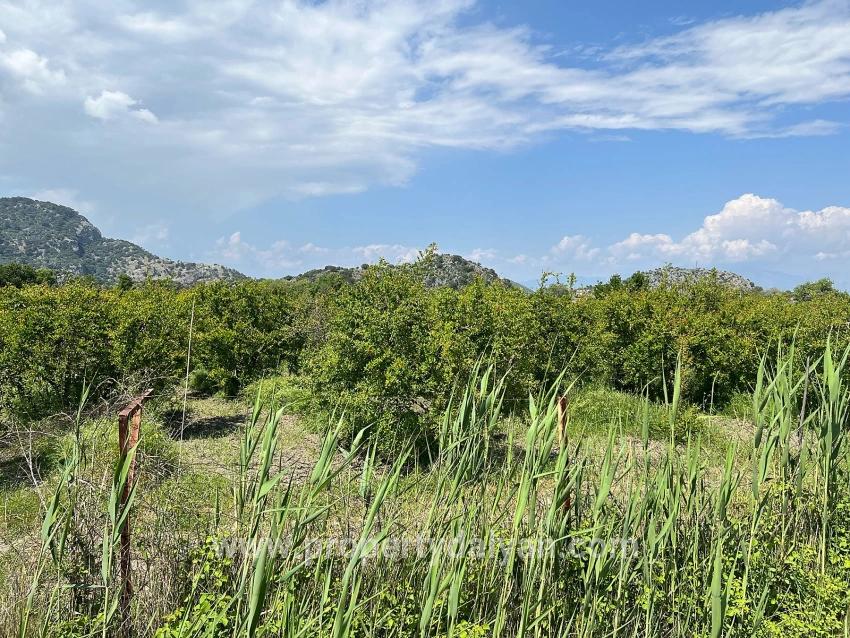 Для продажи Сюжет в Dalyan Ortaca - Под Жилье застройку - 5.100 m²