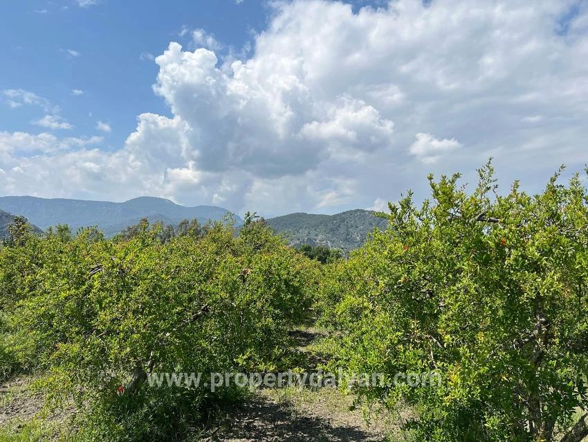 Для продажи Сюжет в Dalyan Ortaca - Под Жилье застройку - 5.100 m²