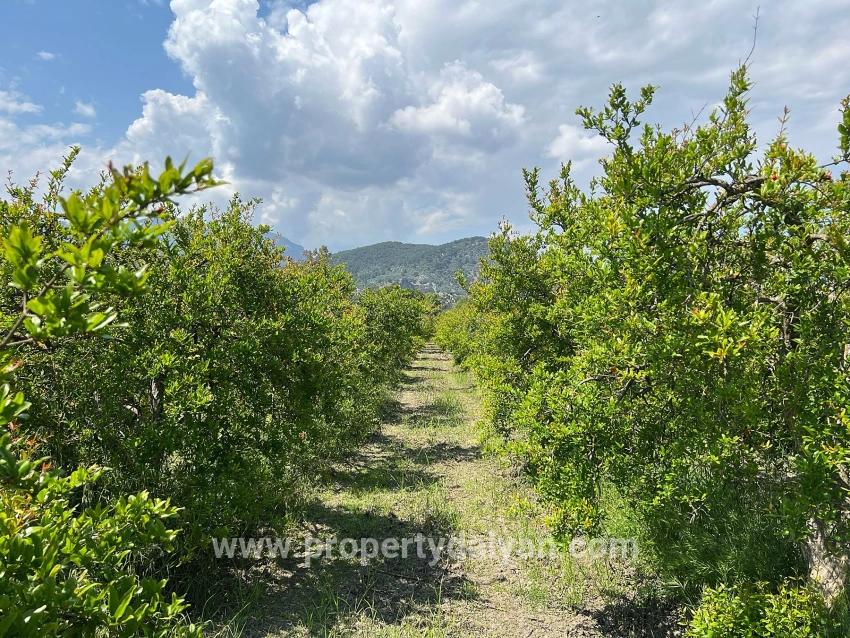 Для продажи Сюжет в Dalyan Ortaca - Под Жилье застройку - 5.100 m²