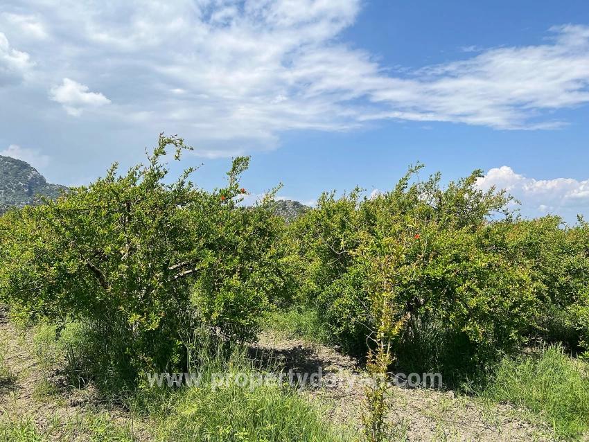 Для продажи Сюжет в Dalyan Ortaca - Под Жилье застройку - 5.100 m²