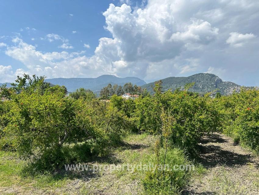 Для продажи Сюжет в Dalyan Ortaca - Под Жилье застройку - 5.100 m²