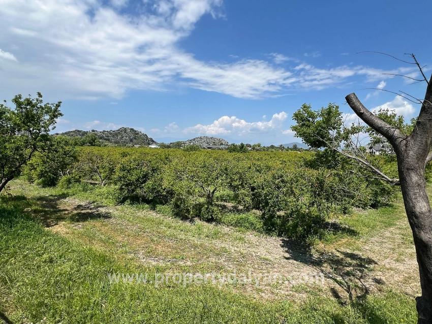 Для продажи Сюжет в Dalyan Ortaca - Под Жилье застройку - 5.100 m²