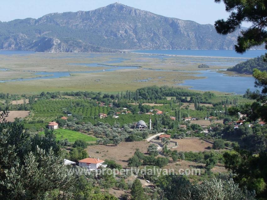 Для продажи Поле в Çandır Köyceğiz - Под Поле застройку - 19.334 m²