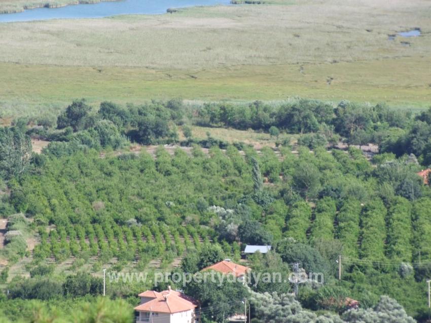 Для продажи Поле в Çandır Köyceğiz - Под Поле застройку - 19.334 m²