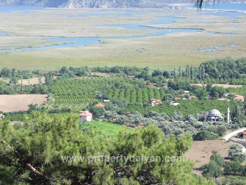 Для продажи Поле в Çandır Köyceğiz - Под Поле застройку - 19.334 m²