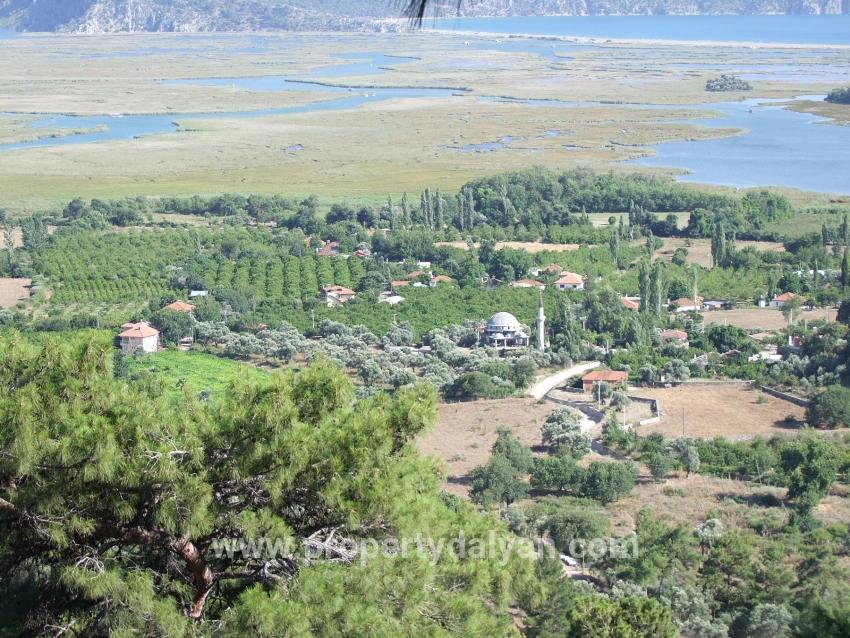 Для продажи Поле в Çandır Köyceğiz - Под Поле застройку - 19.334 m²
