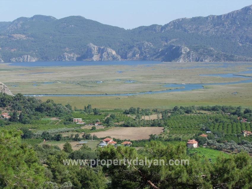 Для продажи Поле в Çandır Köyceğiz - Под Поле застройку - 19.334 m²