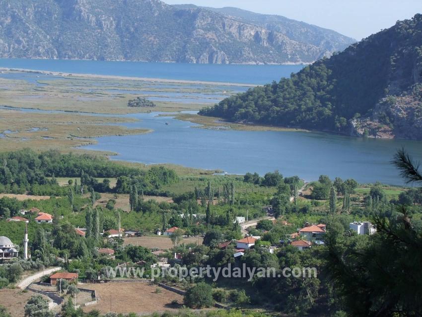 Для продажи Поле в Çandır Köyceğiz - Под Поле застройку - 19.334 m²