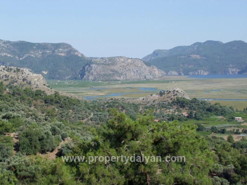 Для продажи Поле в Çandır Köyceğiz - Под Поле застройку - 19.334 m²