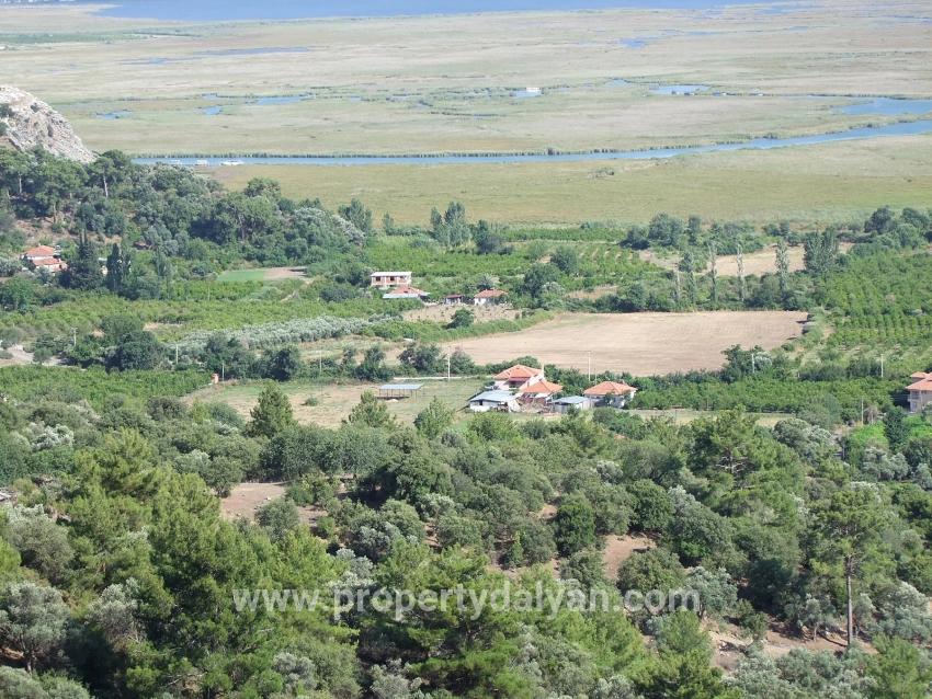 Для продажи Поле в Çandır Köyceğiz - Под Поле застройку - 19.334 m²