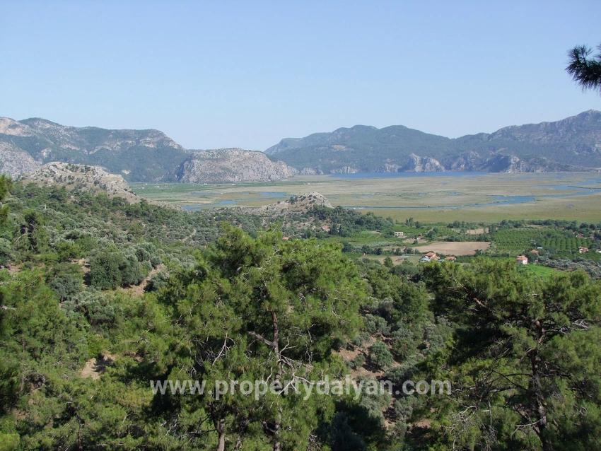Для продажи Поле в Çandır Köyceğiz - Под Поле застройку - 19.334 m²