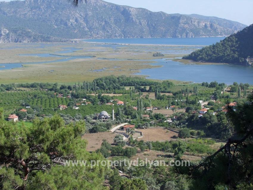 Для продажи Поле в Çandır Köyceğiz - Под Поле застройку - 19.334 m²
