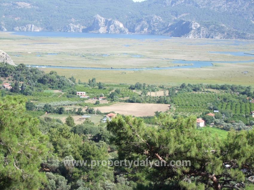 Для продажи Поле в Çandır Köyceğiz - Под Поле застройку - 19.334 m²