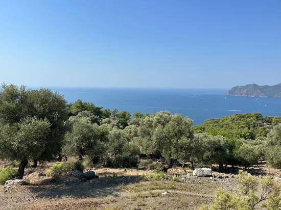 В Çandır с видом на море 21.000 m2 продаётся 2b поле