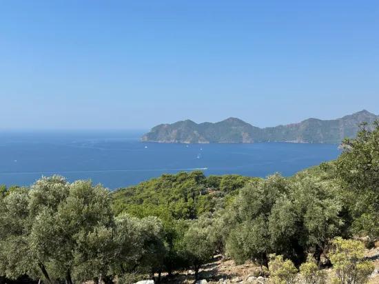 В Çandır с видом на море 21.000 m2 продаётся 2b поле