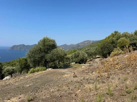 В Çandır с видом на море 21.000 m2 продаётся 2b поле