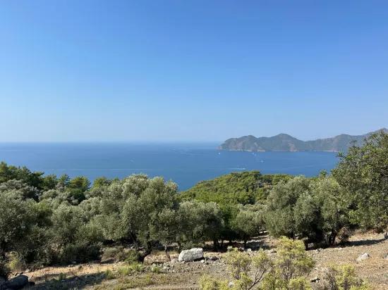 В Çandır с видом на море 21.000 m2 продаётся 2b поле