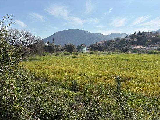 Продается Земельный Участок Площадью 2023 М² В Деревне Чандыр, Кёйджегиз, С Долевой Собственностью И Добровольным Разделом.