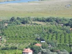 Для продажи Поле в Çandır Köyceğiz - Под Поле застройку - 19.334 m²