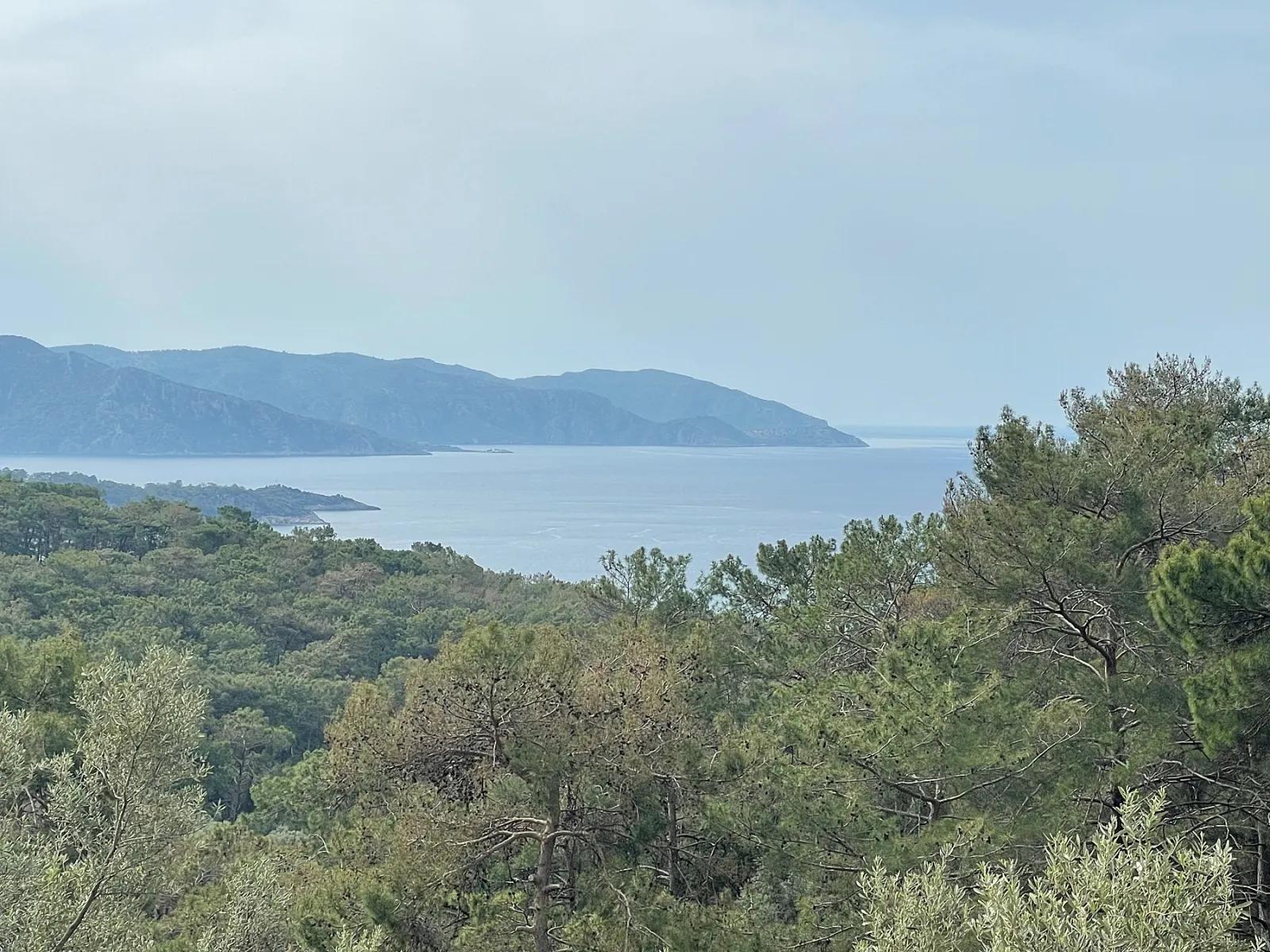 Köyceğiz Ekincik deniz manzaralı 7.000m2 2b satılık zeytinlik