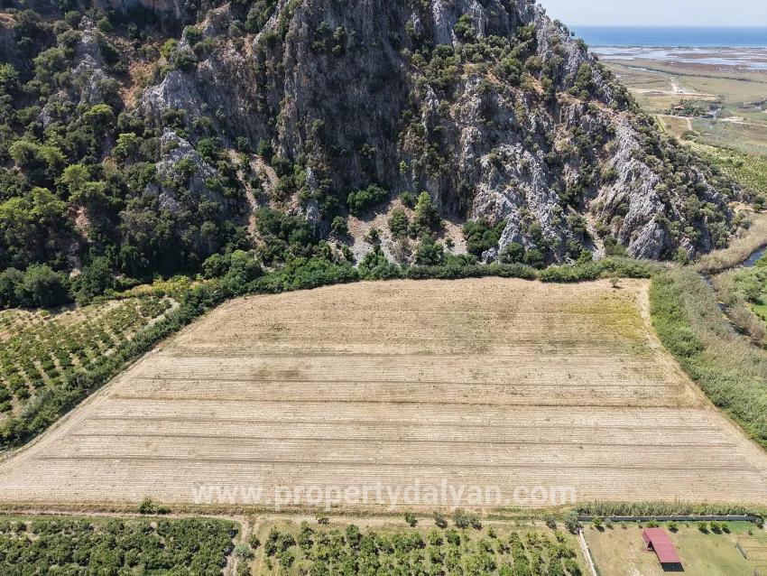 Ortaca Dalyan Mah. Satılık Tarla - Tarla İmar Durumlu - 20.786 m²