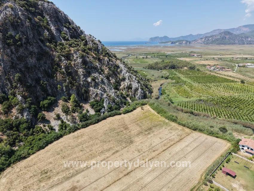 Ortaca Dalyan Mah. Satılık Tarla - Tarla İmar Durumlu - 20.786 m²