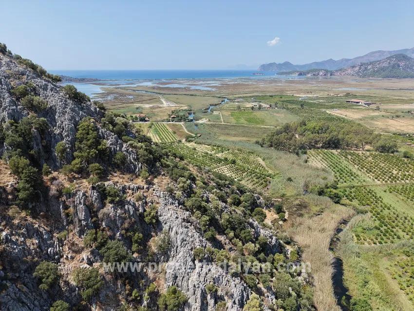 Ortaca Dalyan Mah. Satılık Tarla - Tarla İmar Durumlu - 20.786 m²