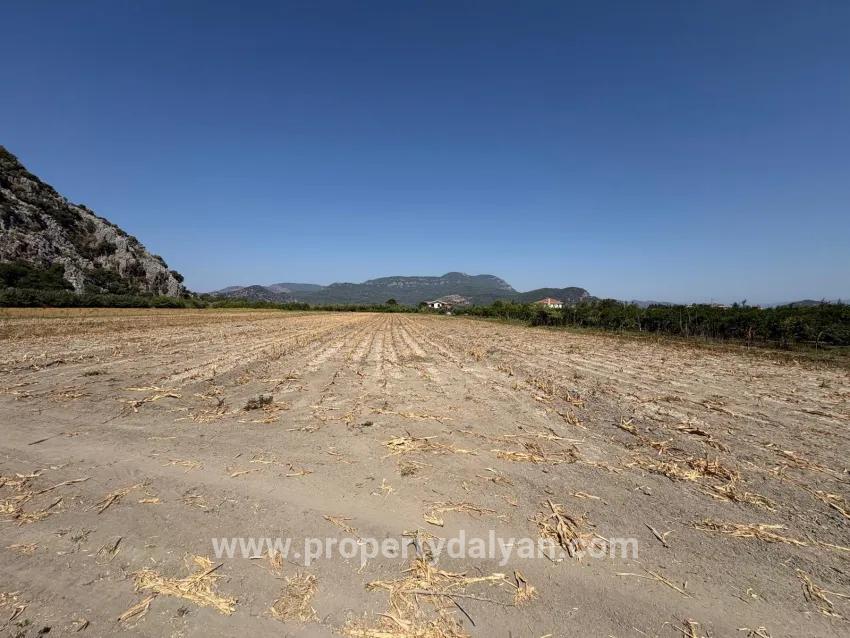 Ortaca Dalyan Mah. Satılık Tarla - Tarla İmar Durumlu - 20.786 m²