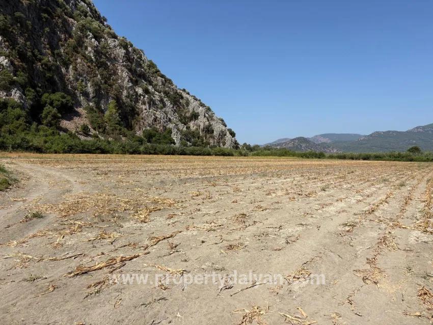 Ortaca Dalyan Mah. Satılık Tarla - Tarla İmar Durumlu - 20.786 m²
