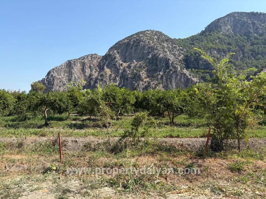 Ortaca Dalyan Mah. Satılık Tarla - Tarla İmar Durumlu - 20.786 m²