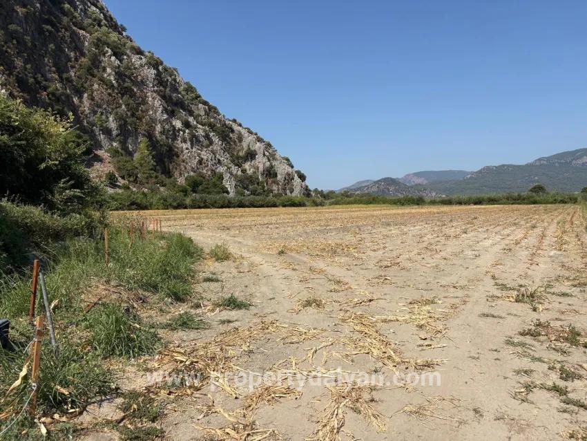 Ortaca Dalyan Mah. Satılık Tarla - Tarla İmar Durumlu - 20.786 m²