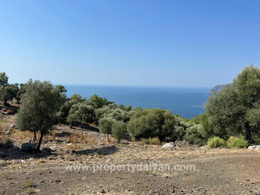 Köyceğiz Çandır Mah. Satılık Tarla - Tarla İmar Durumlu - 21.000 m²