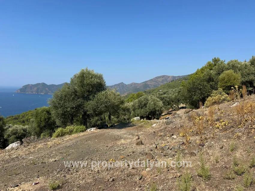 Köyceğiz Çandır Mah. Satılık Tarla - Tarla İmar Durumlu - 21.000 m²