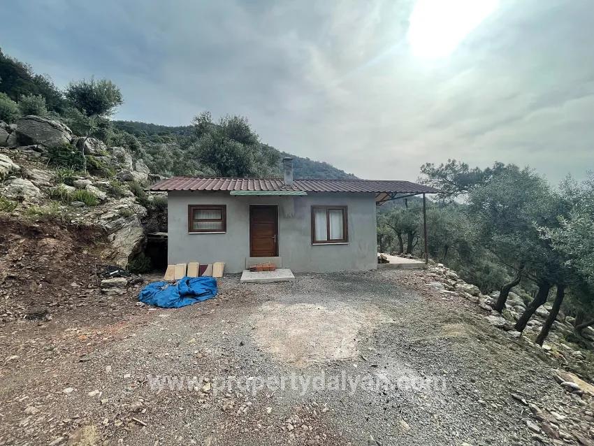 Köyceğiz Ekincik Mah. Satılık Tarla - Zeytinlik İmar Durumlu - 7.000 m²