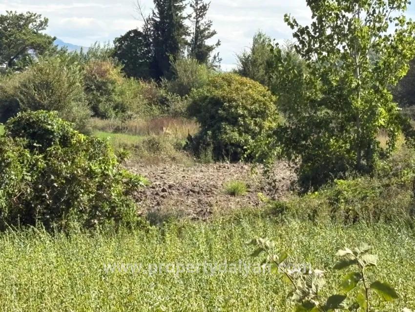 Köyceğiz Zeytinalanı Mah. Satılık Tarla - Tarla İmar Durumlu - 10.500 m²