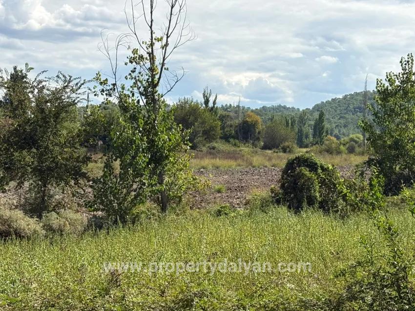 Köyceğiz Zeytinalanı Mah. Satılık Tarla - Tarla İmar Durumlu - 10.500 m²