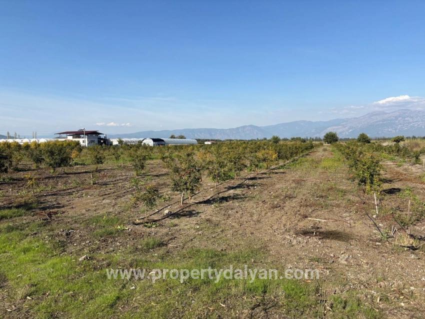 Ortaca Eskiköy Mah. Satılık Tarla - Tarla İmar Durumlu - 21.500 m²