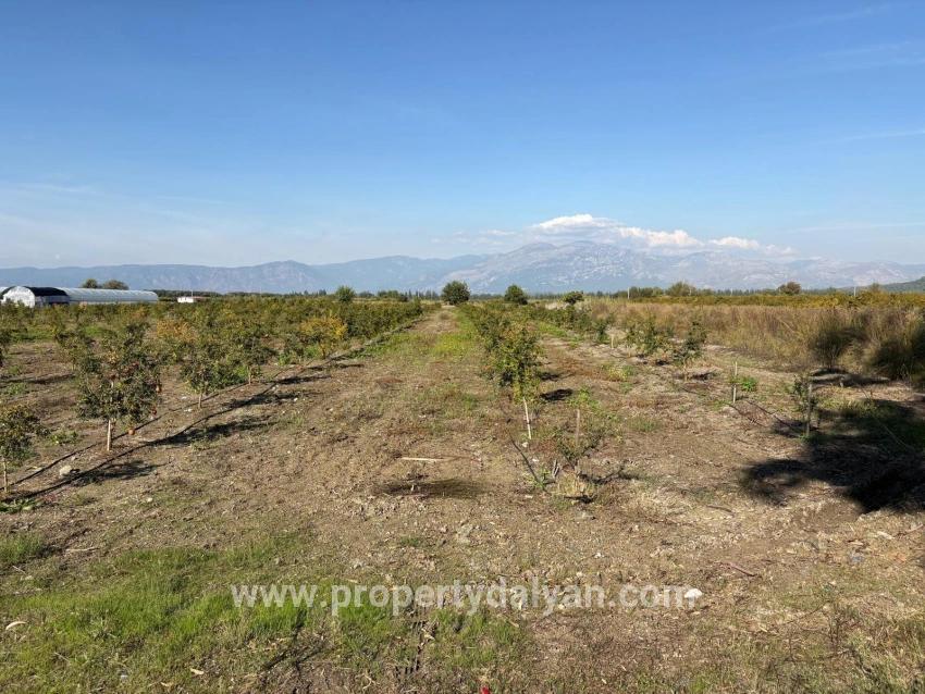 Ortaca Eskiköy Mah. Satılık Tarla - Tarla İmar Durumlu - 21.500 m²