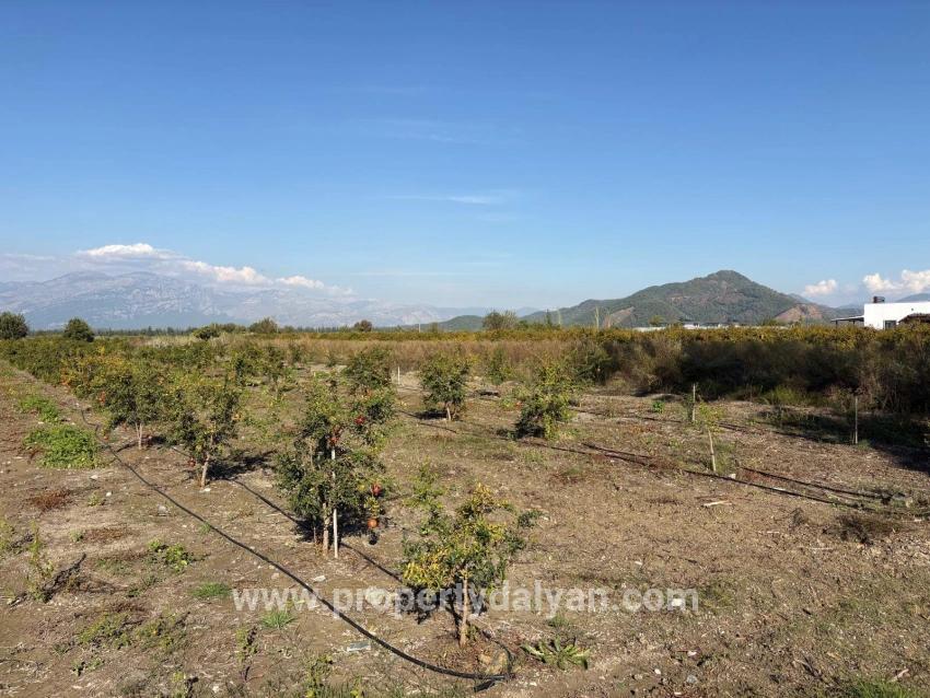 Ortaca Eskiköy Mah. Satılık Tarla - Tarla İmar Durumlu - 21.500 m²