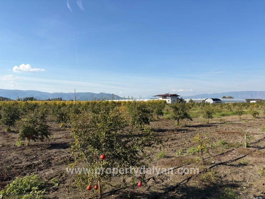 Ortaca Eskiköy Mah. Satılık Tarla - Tarla İmar Durumlu - 21.500 m²